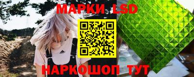 прущие грибы Ярославль
